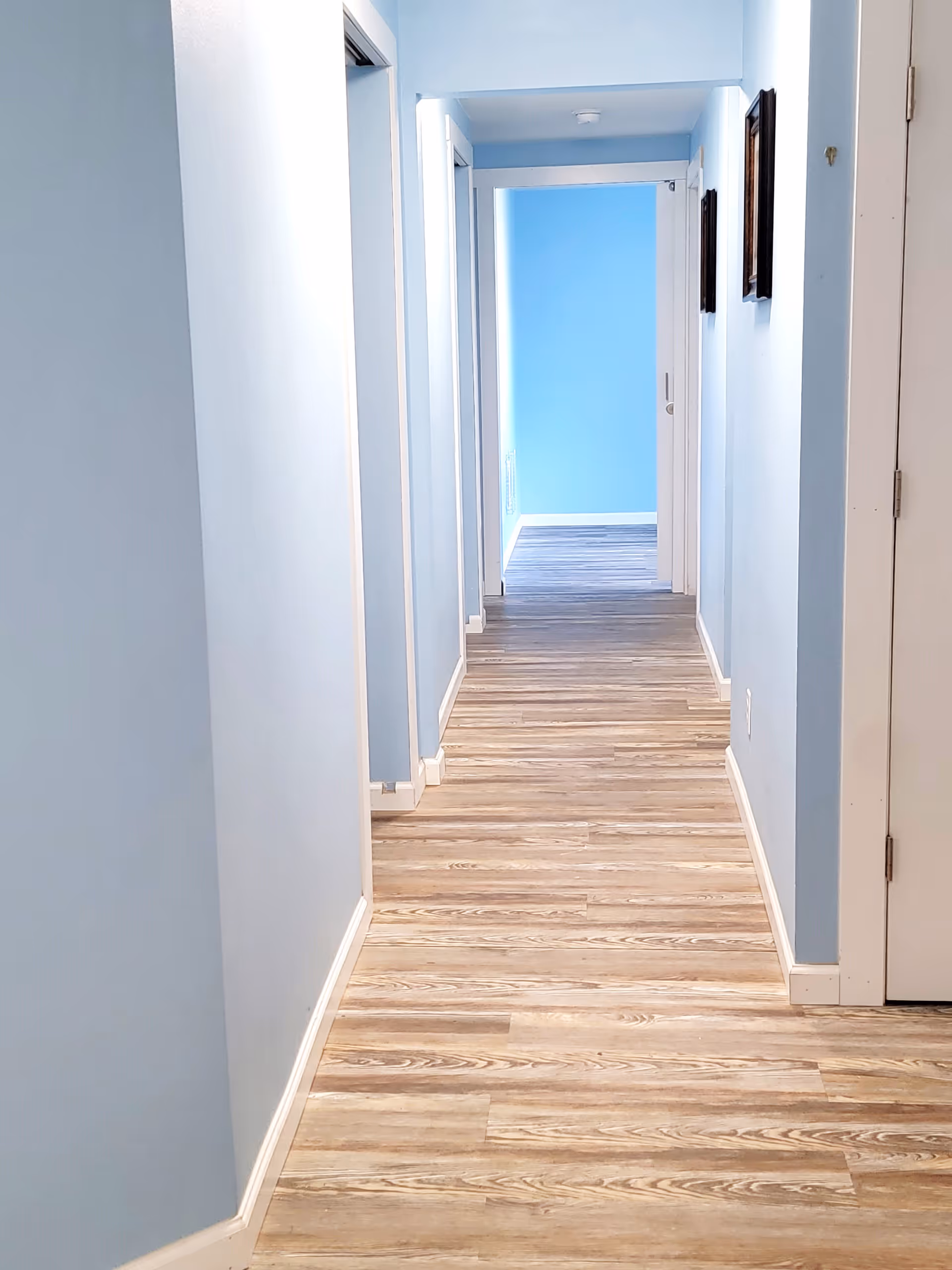 A clean, well-lit hallway with light blue walls and wood-patterned flooring. There are several doorways along the hallway and two framed pictures hanging on the right wall.