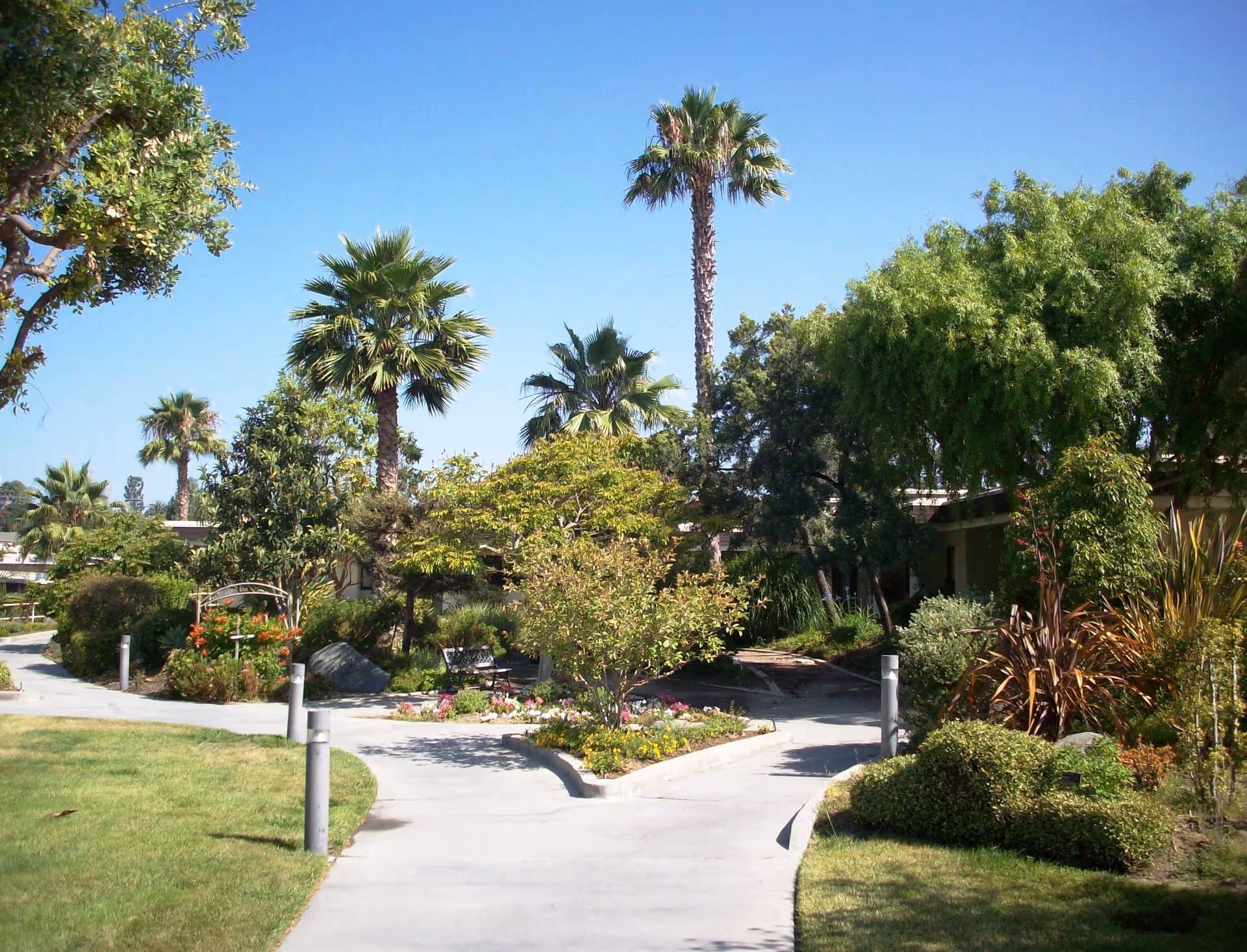 A landscaped outdoor garden area with a paved walkway splitting into two paths surrounded by green grass, various trees including palm trees, bushes, and flowering plants under a clear blue sky.