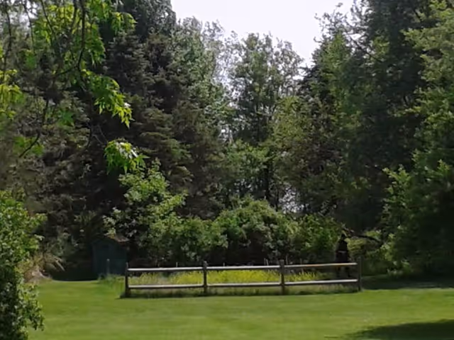 A green lawn with a short wooden fence in front of dense trees and shrubs and tall trees in the background.