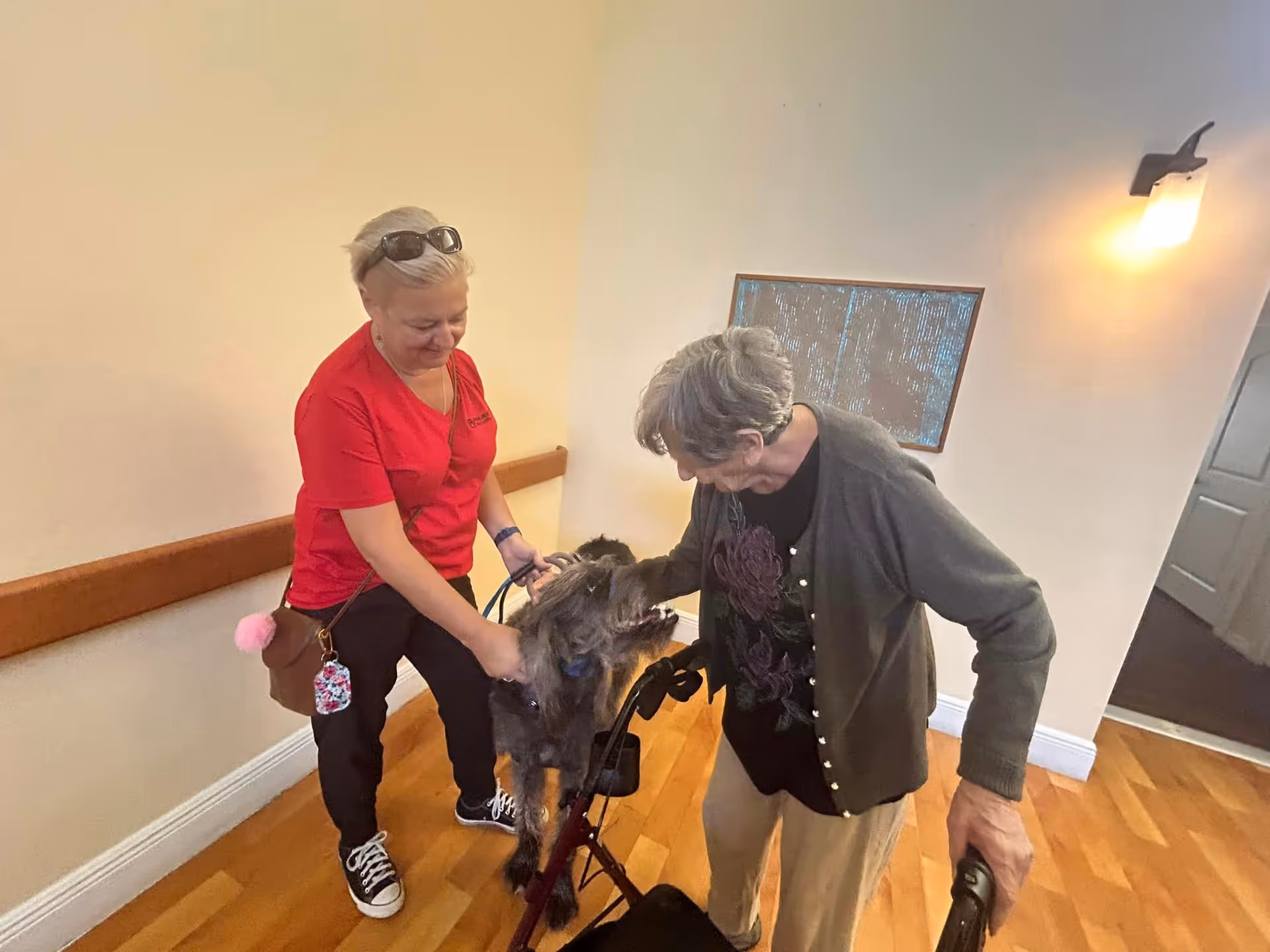 An elderly woman using a walker interacts with a large dog while a caregiver in a red shirt holds the dog's leash inside a hallway with wooden flooring and beige walls.