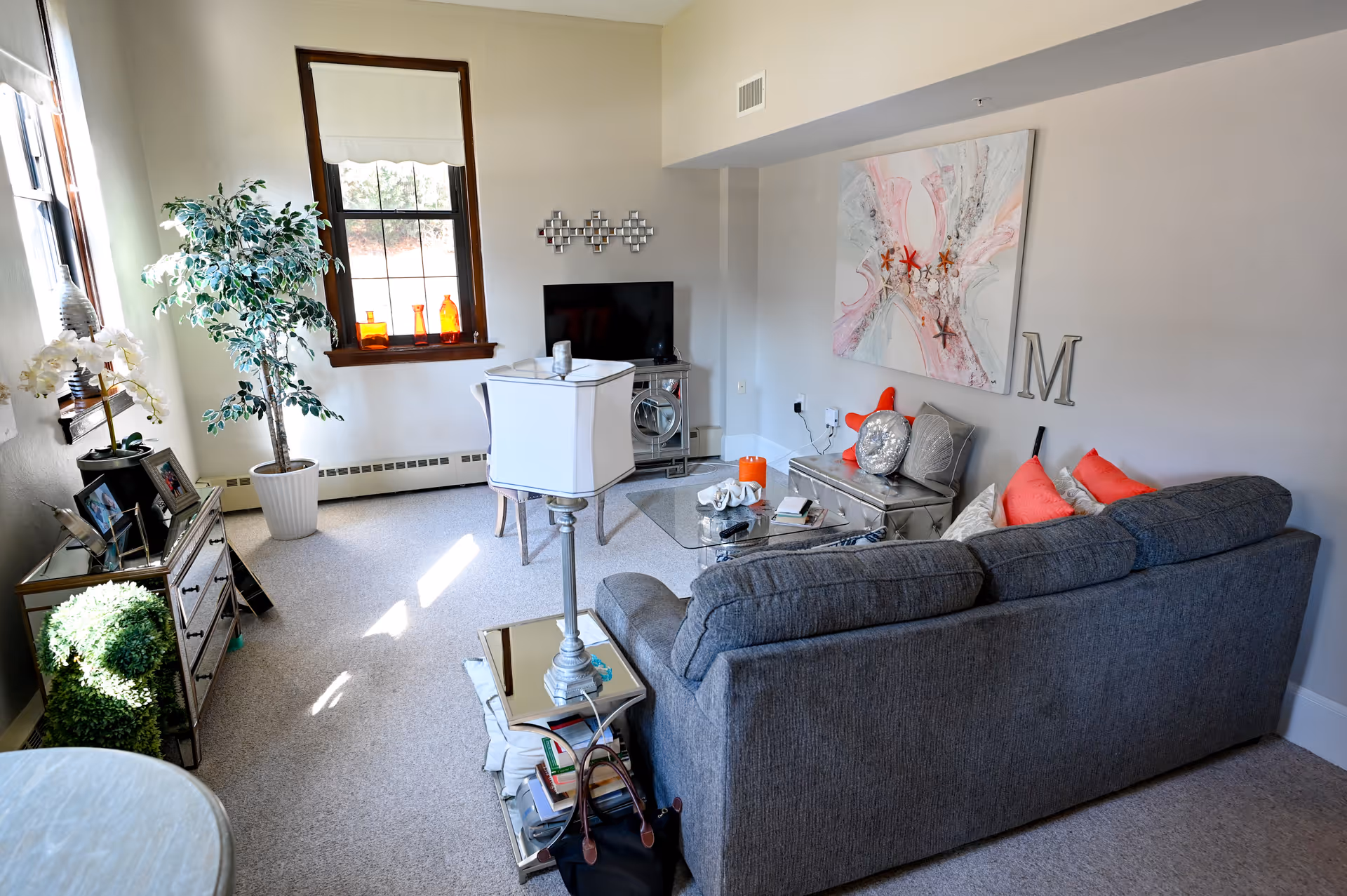A cozy living room with a gray sofa adorned with red and gray pillows, a glass coffee table, and a TV on a mirrored stand. The room has beige walls, a large window with white blinds, a potted plant, and decorative items including a large abstract painting and a letter M on the wall.