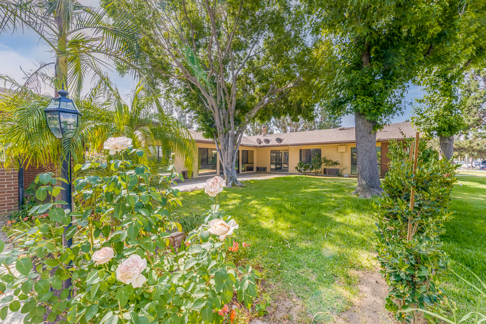 A sunny outdoor garden area at Santa Anita Assisted Living with green grass, blooming white roses, tall trees providing shade, and a single-story building with large windows in the background.