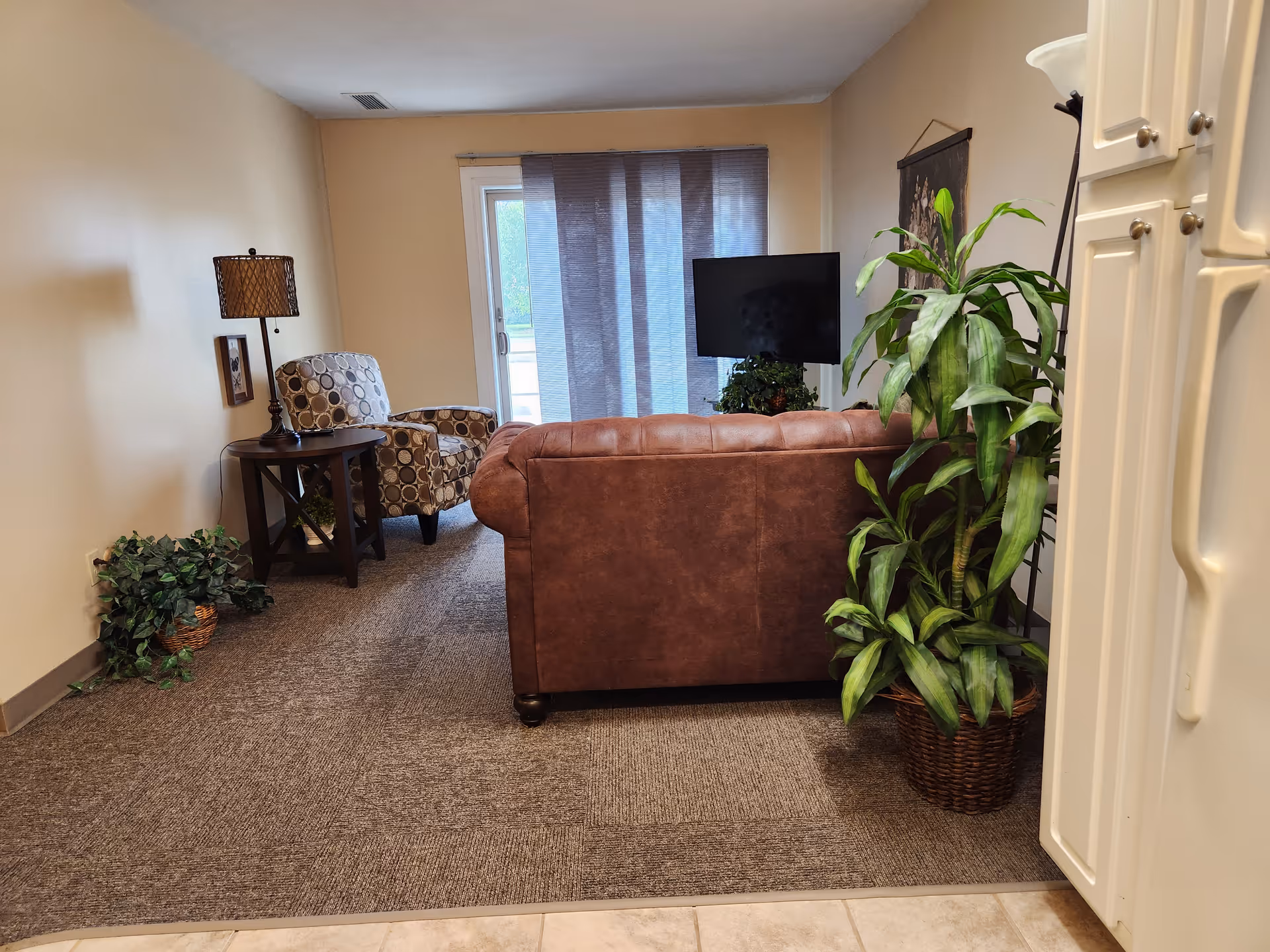 A cozy living room area with a brown leather sofa facing a flat-screen TV mounted on a stand. To the left, there is a patterned armchair next to a small wooden side table with a lamp. There are two potted plants, one on the floor near the sofa and another near the wall. The room has carpeted flooring and a sliding glass door covered with sheer curtains letting in natural light.