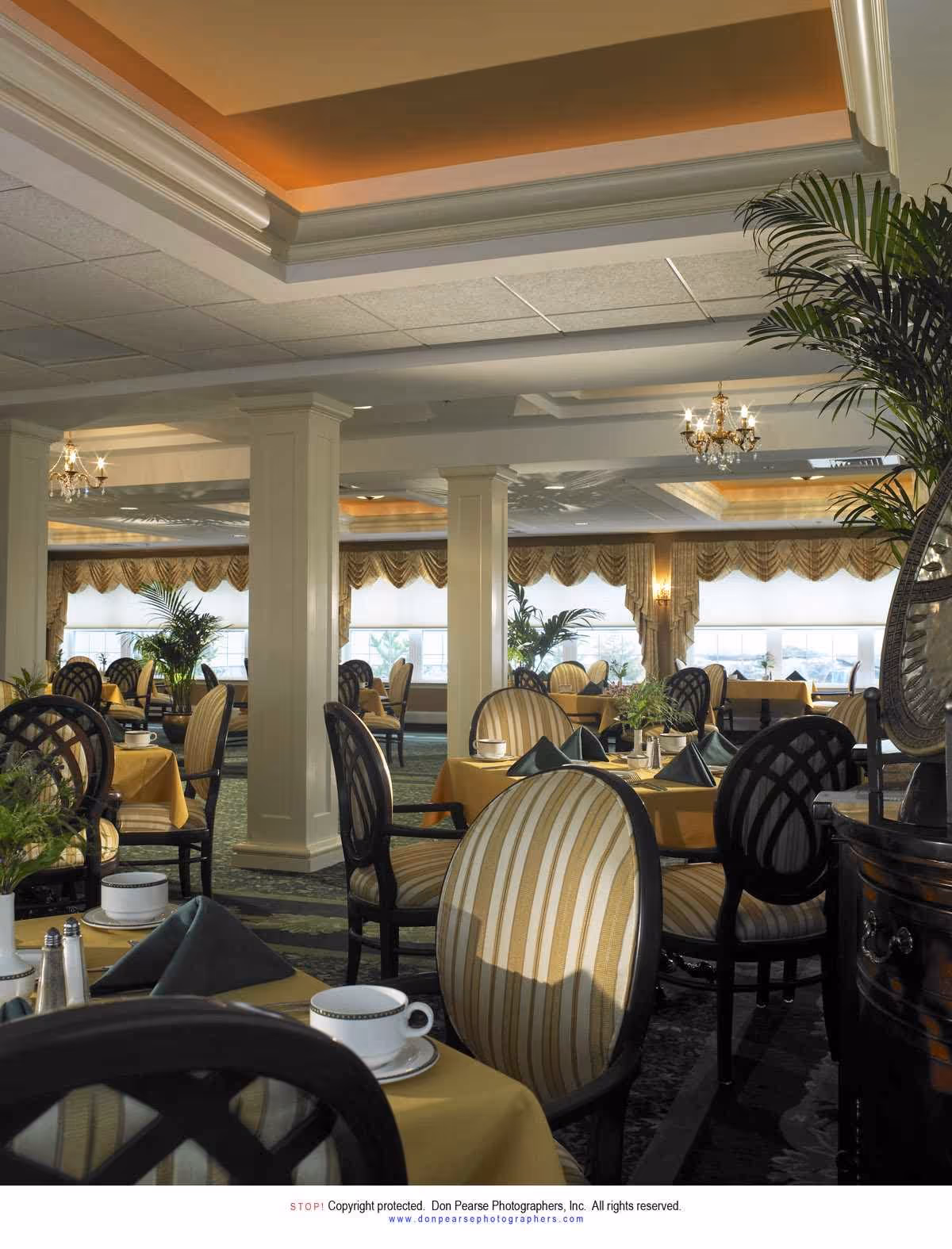 Elegant dining room with multiple tables covered in yellow tablecloths, set with cups, saucers, and folded napkins. The room features striped upholstered chairs, large windows with valances, chandeliers, and decorative plants.