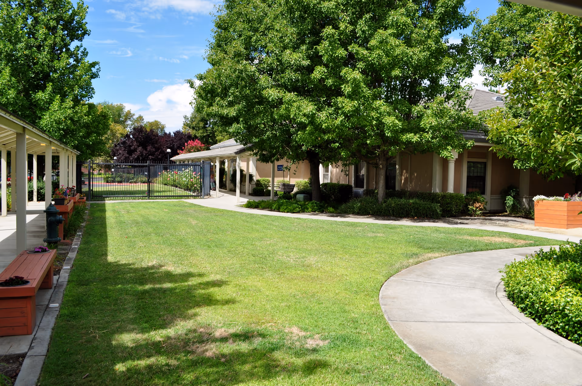 Sunlit courtyard with a green lawn, curved concrete walkway, covered walkways, benches and trees in front of single-story memory care buildings.