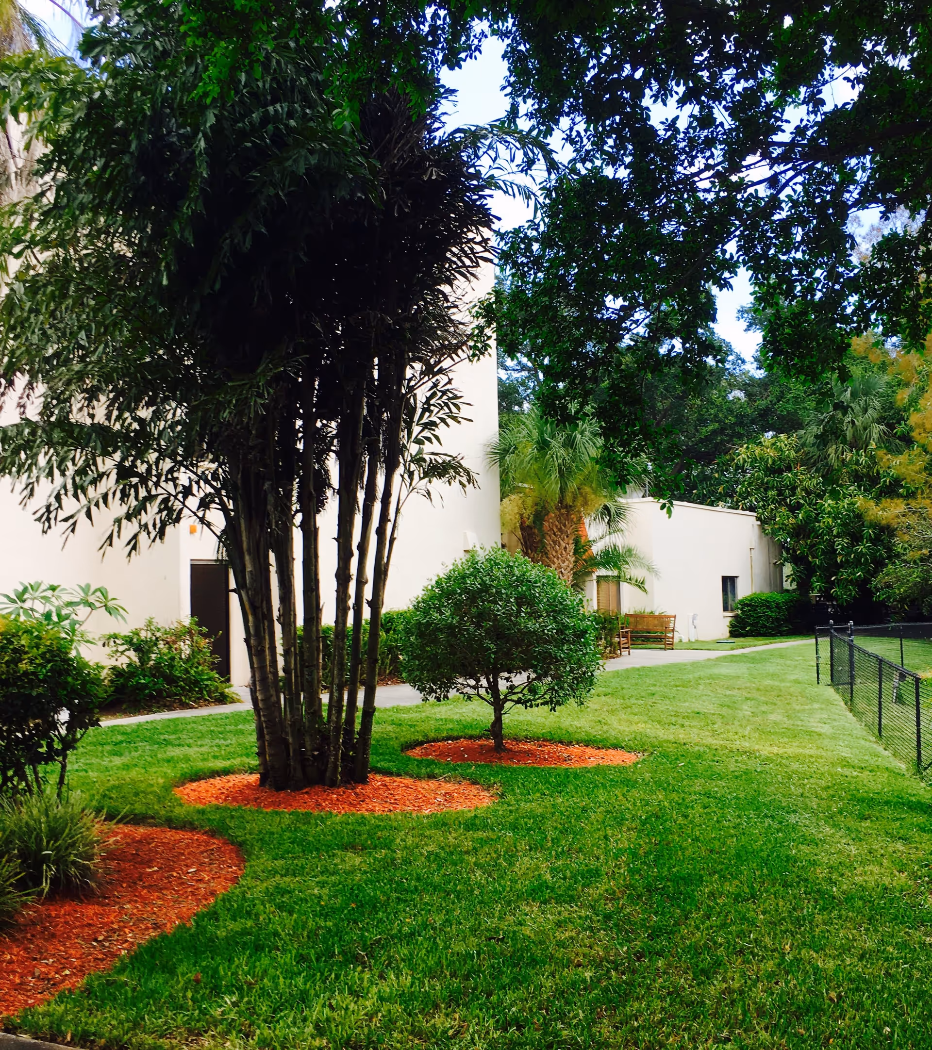 Well-maintained grassy courtyard with mulched tree beds, small trees and shrubs beside a light-colored building and a chain-link fence.