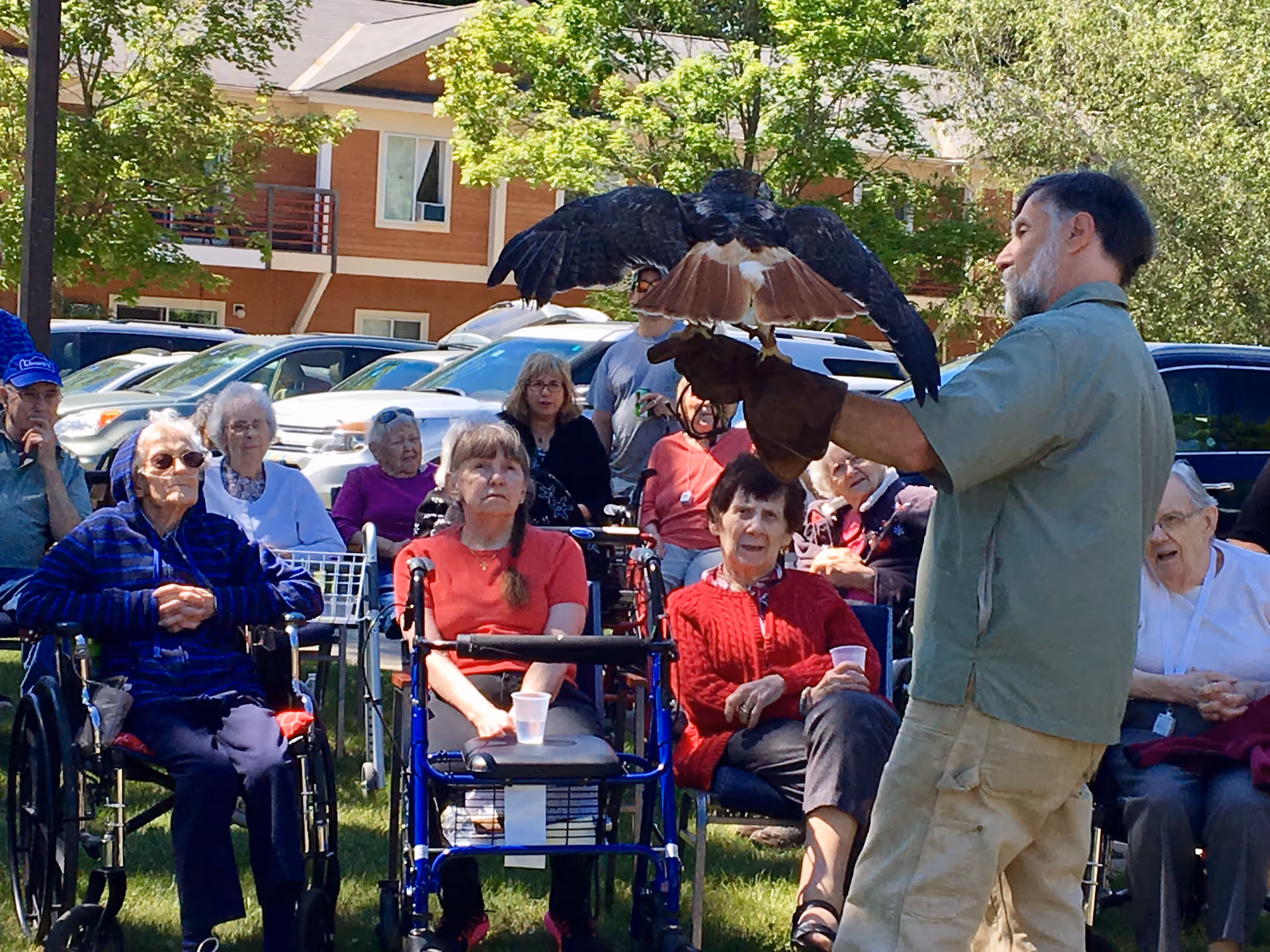A group of elderly people sitting outdoors on chairs and wheelchairs watching a man holding a large bird of prey with outstretched wings on his gloved hand. There are trees, parked cars, and a building in the background.