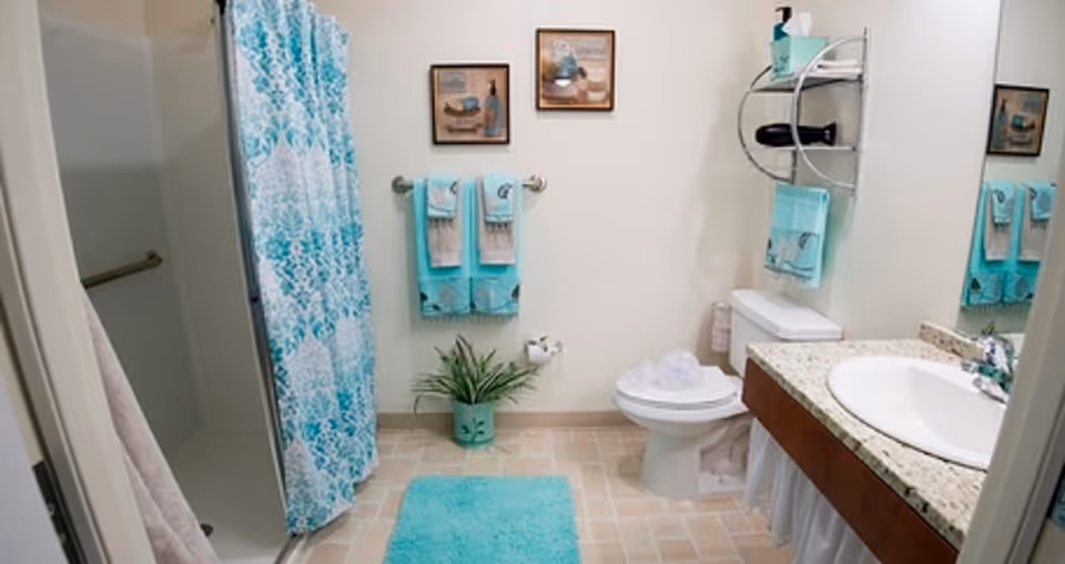 A clean and bright bathroom with a shower area featuring a blue and white patterned shower curtain, a toilet with a towel on the seat, a sink with a granite countertop, and a large mirror. The walls have two framed pictures and a towel rack with neatly folded blue and beige towels. There is a small green plant on the floor and a blue bath mat in front of the sink.