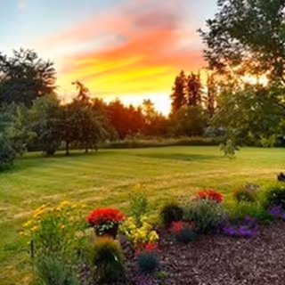 A grassy lawn and colorful flowerbed with trees silhouetted against a vibrant sunset sky.