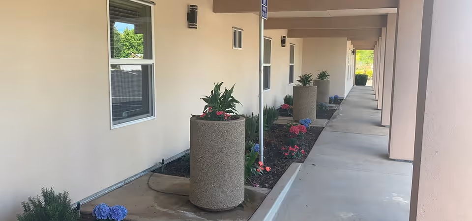 A covered outdoor walkway alongside a beige building wall with several windows. The walkway is lined with large cylindrical planters containing green plants and colorful flowers. There is a small garden bed with additional flowers and plants between the planters and the building. The walkway extends into the distance with a clean concrete floor and beige support columns.