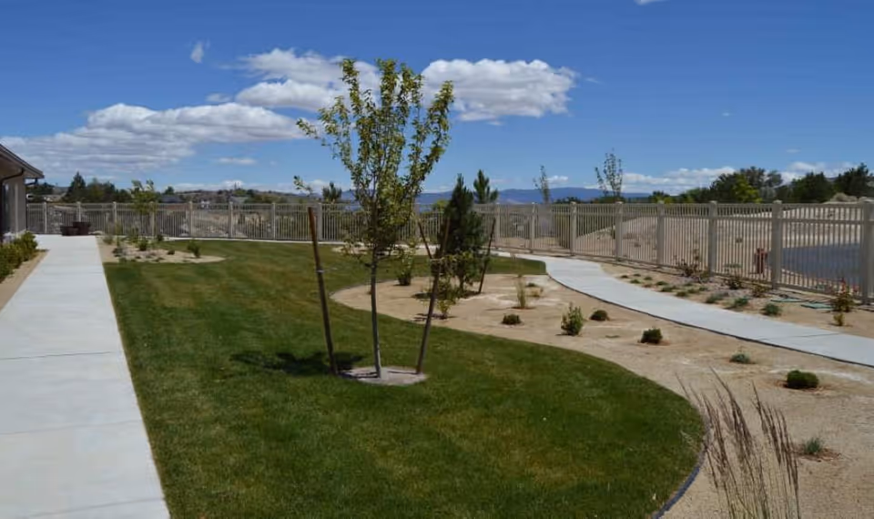 Outdoor landscaped courtyard with sidewalks, a grassy lawn, young trees, and a perimeter metal fence under a blue sky.