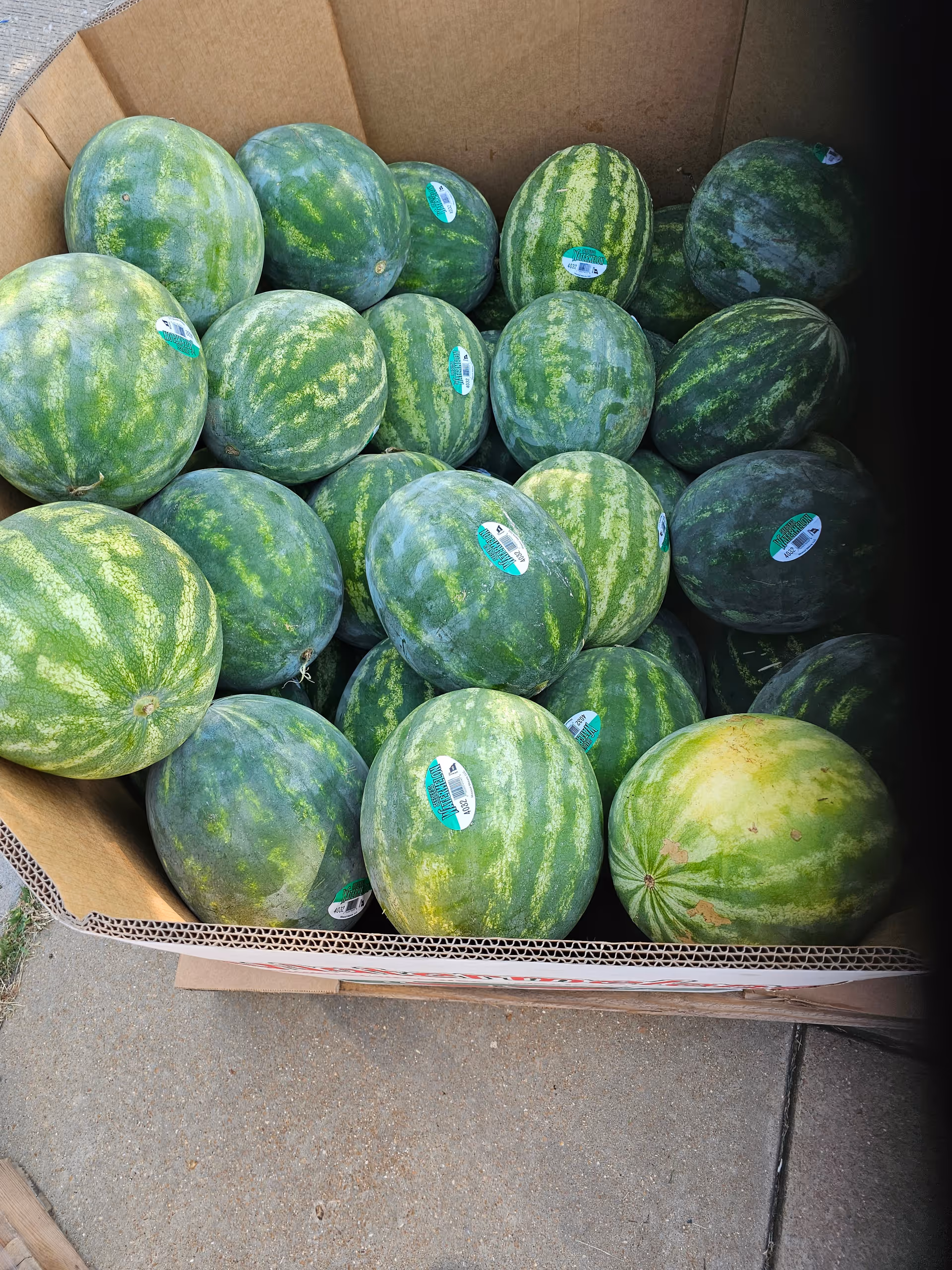 A cardboard box filled with whole striped watermelons sitting on a sidewalk.
