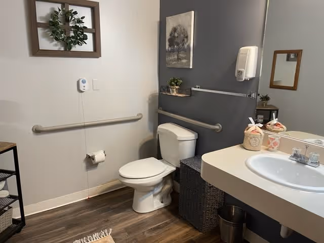 A clean and accessible bathroom with a white toilet, grab bars on the walls, a white sink with a countertop, a small trash can underneath, and decorative items including a framed plant, a small potted plant, and a wall painting. The floor has wood-style flooring and there is a small rug in front of the sink.