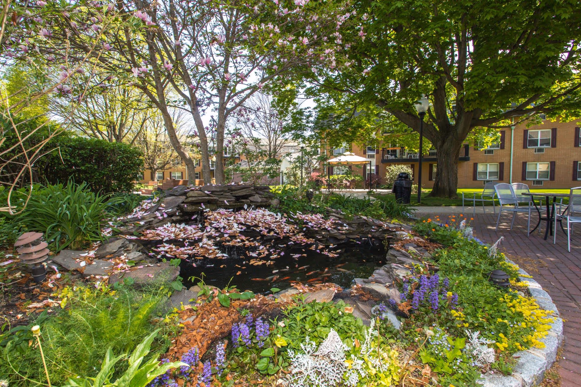 A landscaped courtyard with a small pond covered in flower petals, colorful flowerbeds, patio seating, and a brick residential building in the background.