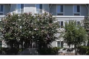 Exterior view of a senior living building with flowering trees in front.