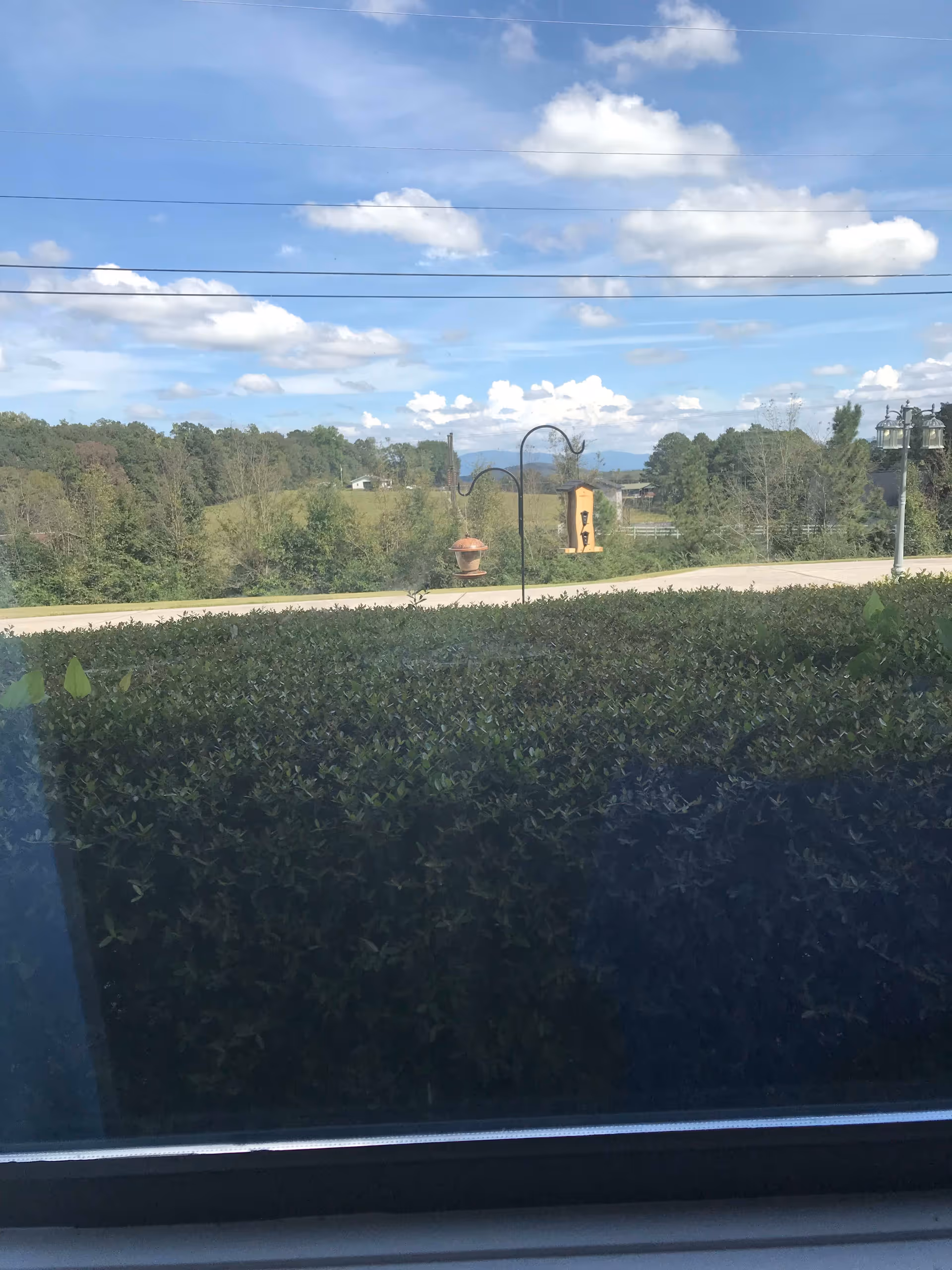 View through a window showing a green hedge in the foreground, a road, bird feeders on poles, trees, and a partly cloudy blue sky in the background.