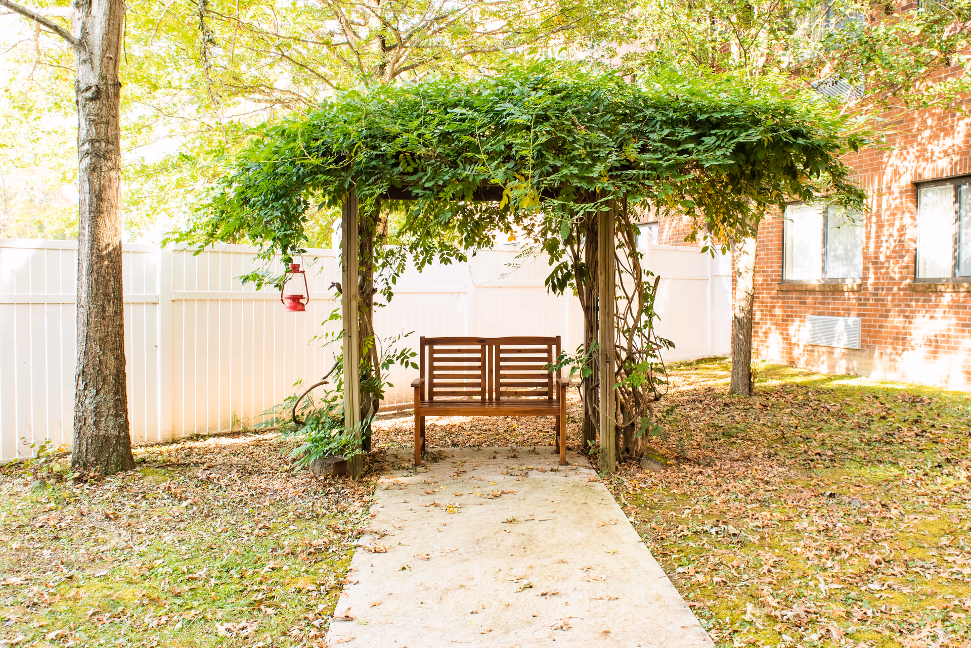 A wooden bench under a pergola covered with green vines in an outdoor garden area. The scene includes a tree, a white fence, and a brick building with windows in the background. Fallen leaves are scattered on the ground.