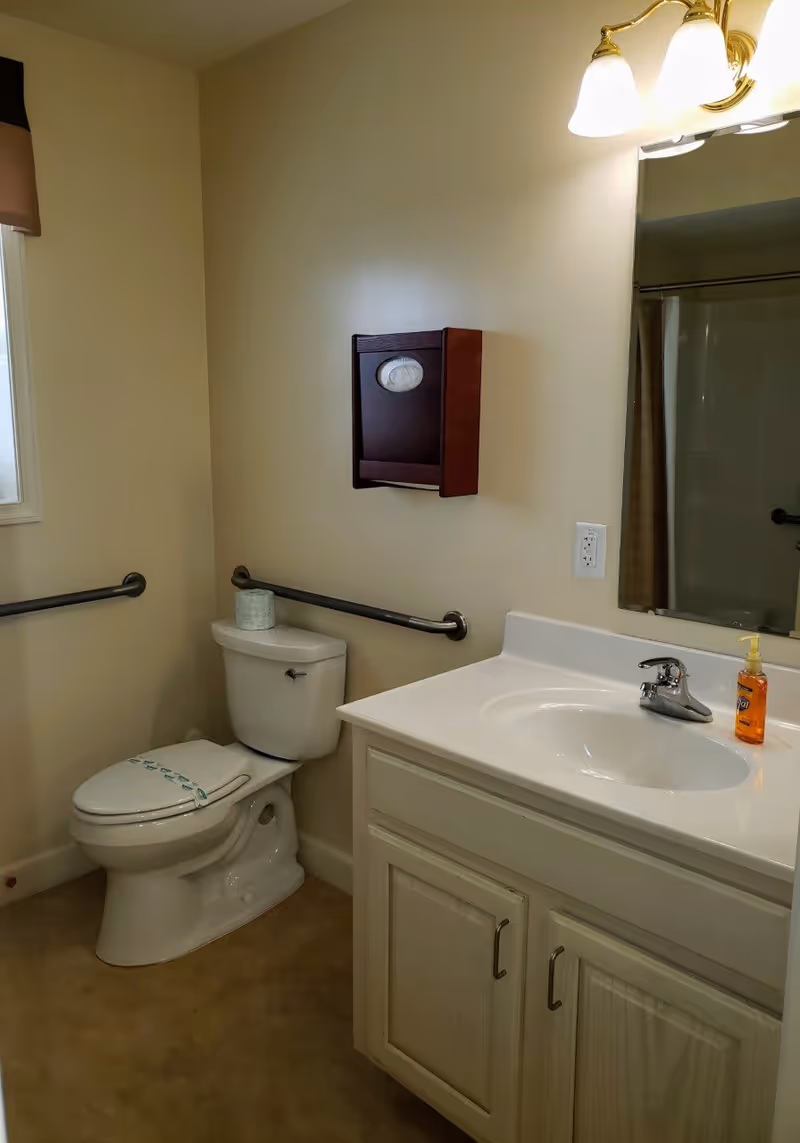 A clean bathroom with a white toilet, a white sink with a countertop, a mirror above the sink, a wall-mounted wooden tissue dispenser, and grab bars on the walls. There is a window with a brown valance and a soap dispenser on the sink.