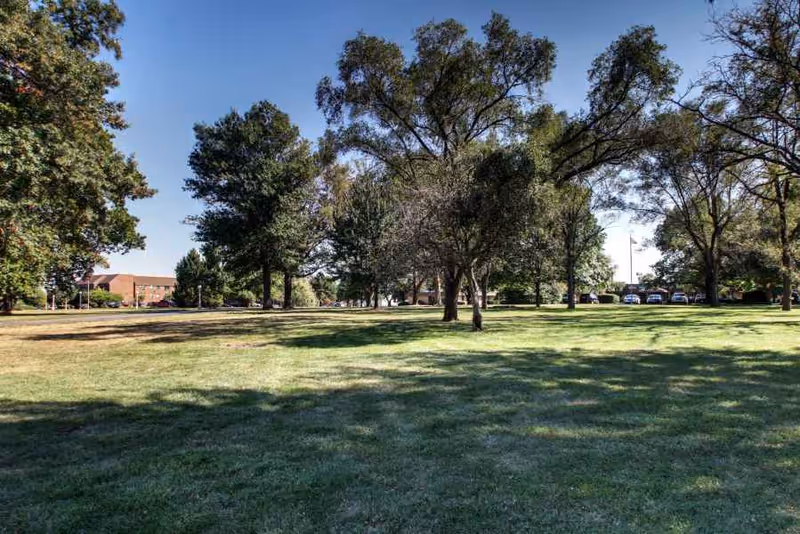 A spacious outdoor grassy area with scattered mature trees providing shade under a clear blue sky. In the background, there are buildings partially visible and a row of parked cars.