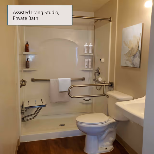 A private bathroom in an assisted living studio featuring a toilet, a wall-mounted sink, and a walk-in shower with grab bars and a fold-down shower seat. There are bottles of toiletries on built-in shelves in the shower, a towel hanging on a grab bar, and a piece of abstract artwork on the wall.