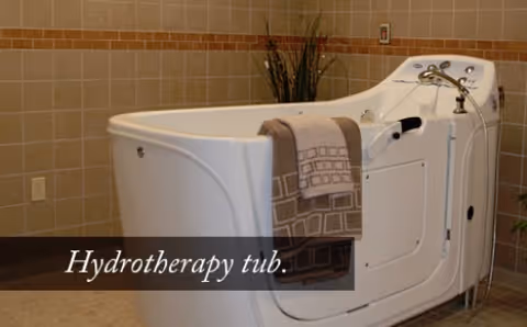 A white hydrotherapy tub in a tiled room with a beige and brown towel hanging over the side. There is a plant in the corner and the walls are tiled with a decorative border.