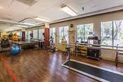A spacious physical therapy or rehabilitation room with wooden flooring, large windows letting in natural light, parallel bars for walking exercises, exercise equipment including a blue exercise ball, and various therapy tools along the walls.