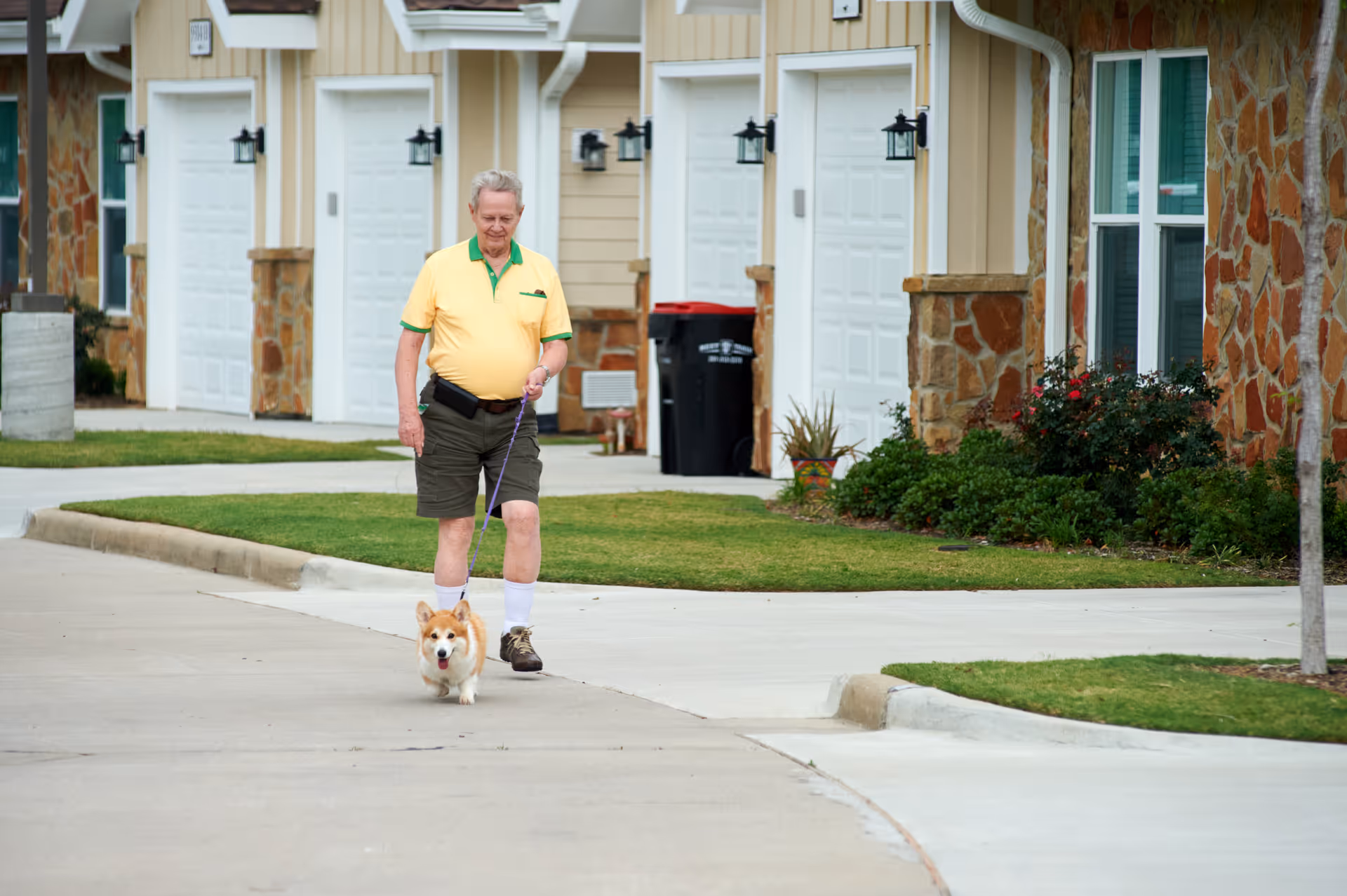 An older man walks a small corgi on a leash along a sidewalk in front of townhome garages.