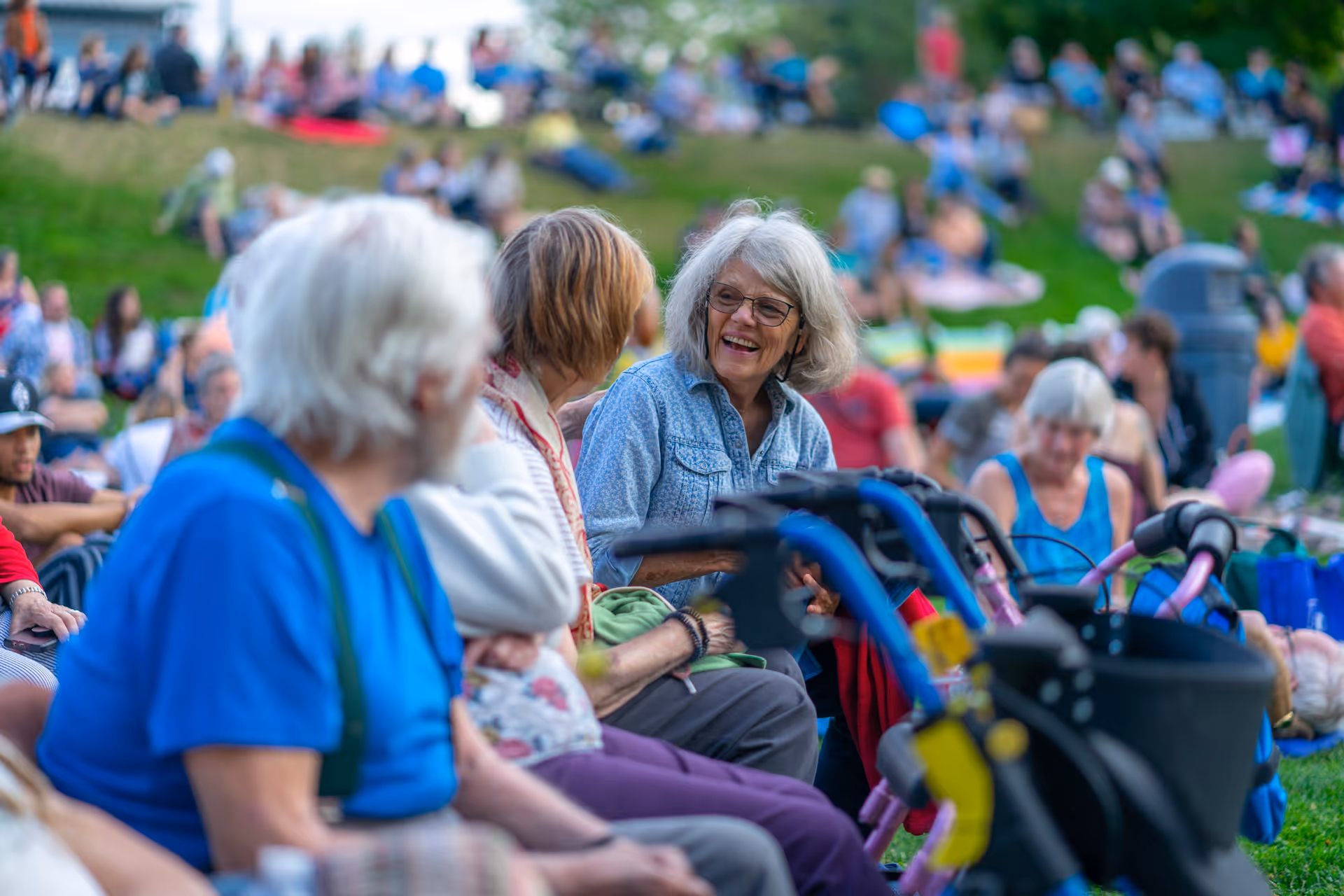 A group of elderly people sitting outdoors on a grassy area, some using walkers, engaging in conversation and enjoying a social gathering with many others in the background.