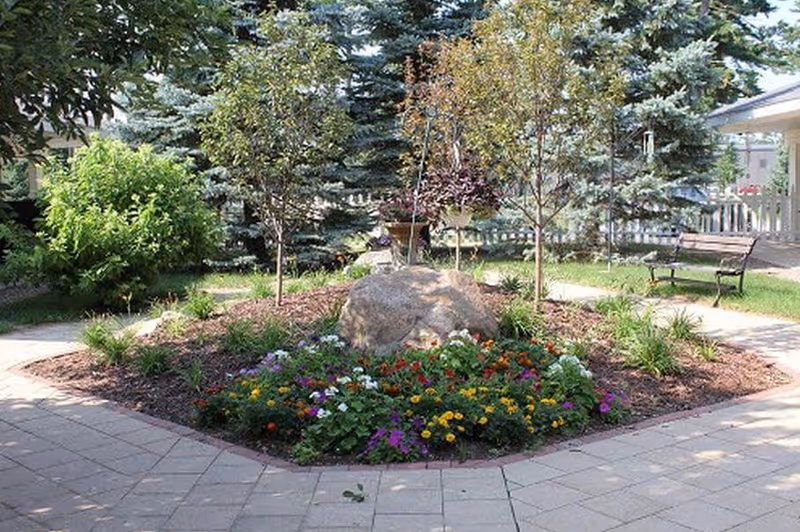 A landscaped circular flower bed with a large rock, trees, and benches in a courtyard.