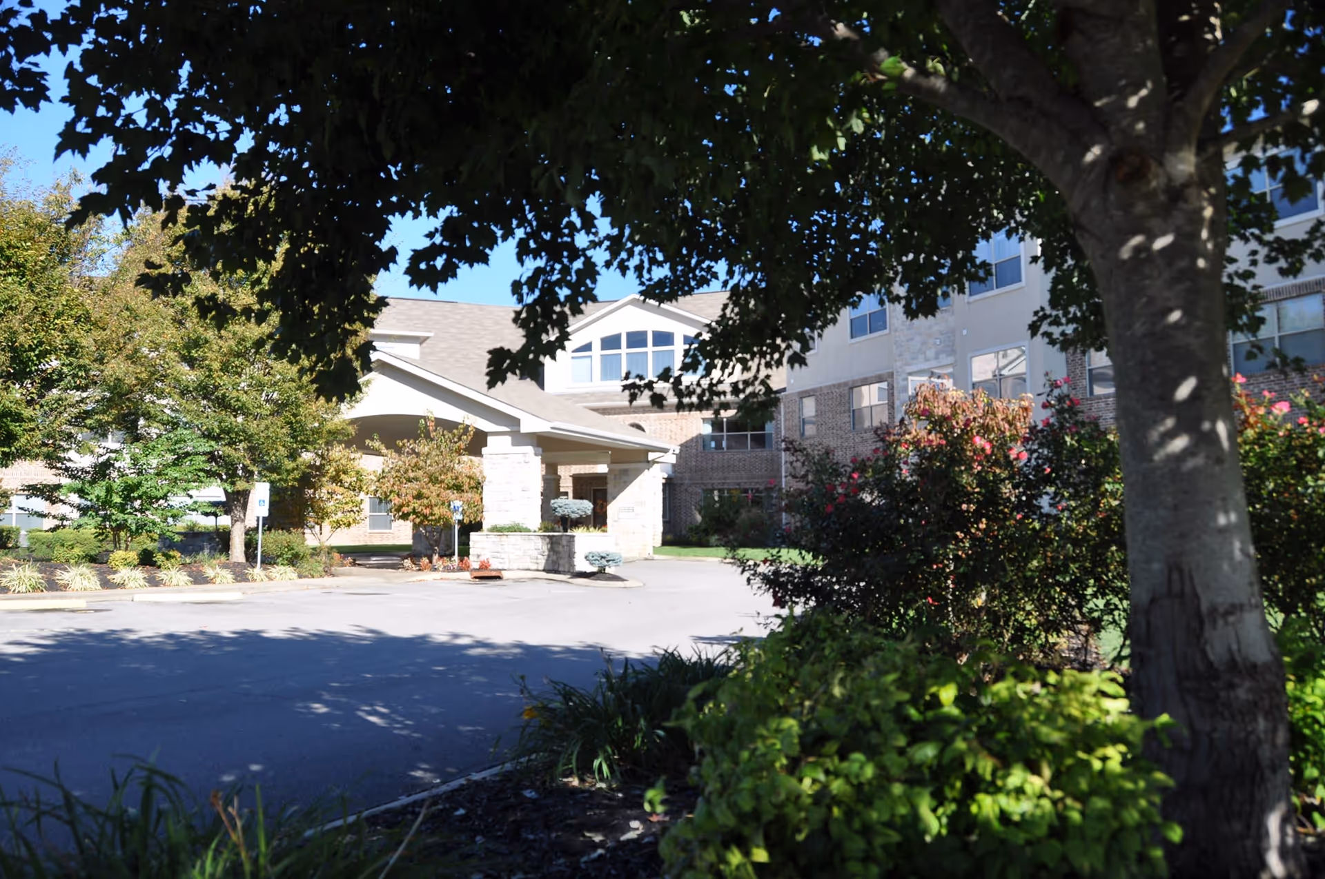 Exterior view of Rutland Place Senior Living building partially shaded by trees and surrounded by landscaped bushes and plants under a clear blue sky.