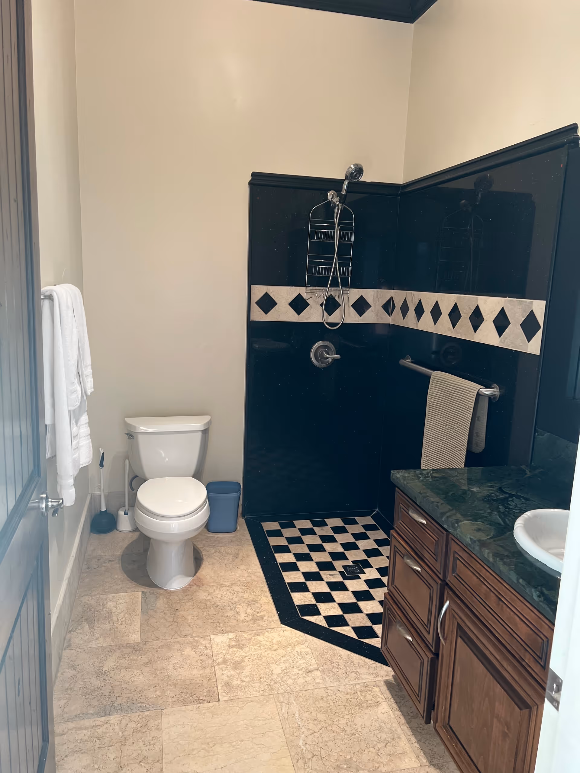 A bathroom featuring a toilet, a walk-in shower with black tile and diamond border and a checkered shower floor, and a wooden vanity with a green countertop.