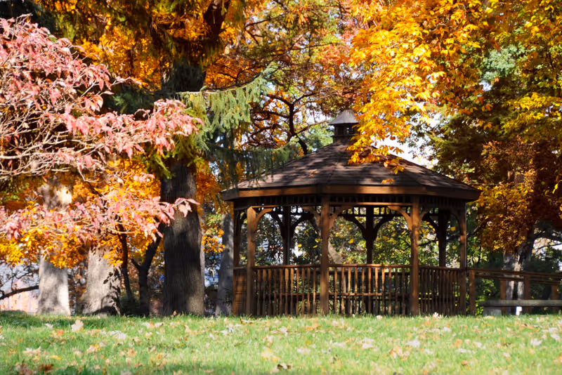 Wooden gazebo surrounded by trees with autumn foliage in a grassy park.
