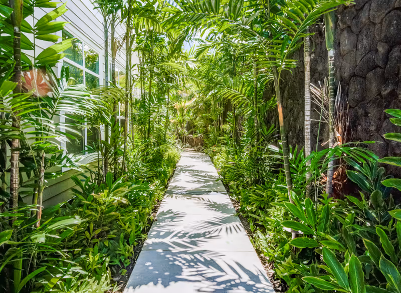 A narrow concrete pathway surrounded by lush green tropical plants and palm trees on both sides, with a building wall on the left and a stone wall on the right, under bright sunlight casting shadows of the foliage on the path.