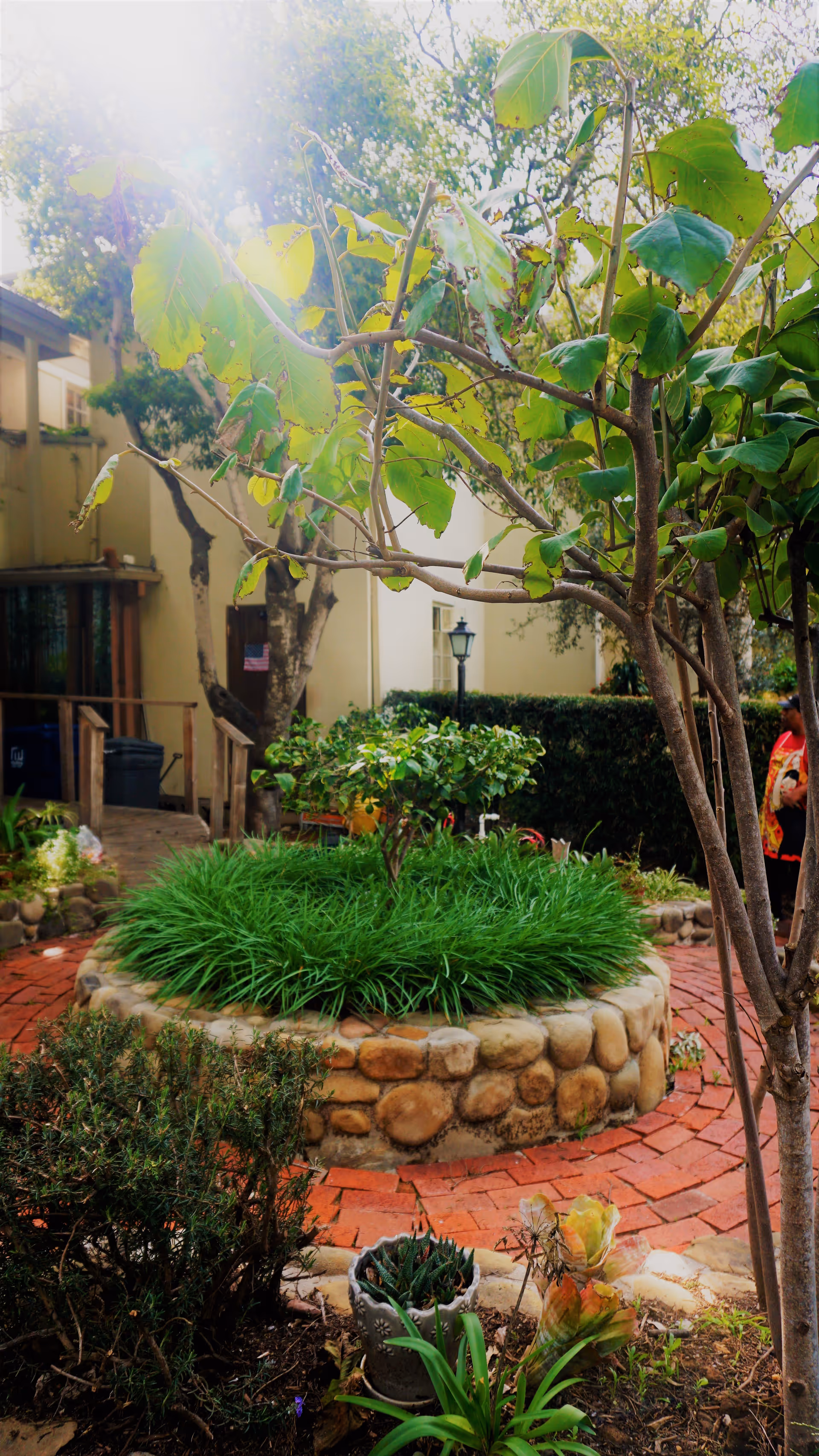 Sunny courtyard with a circular raised stone planter surrounded by brick paths, trees, and landscaping in front of a building.