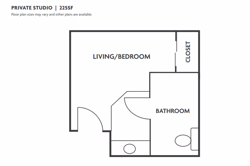 Floor plan of a private studio apartment with 225 square feet, showing a combined living and bedroom area, a bathroom, and a closet.