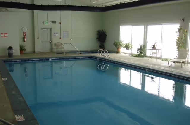 Indoor swimming pool with lounge chairs, potted plants, and large windows along one side.