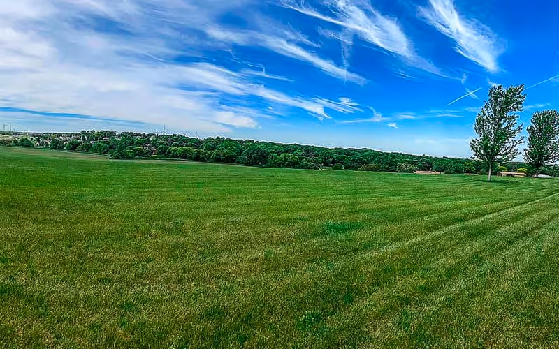 A wide open green grassy field with two tall trees on the right side under a blue sky with wispy white clouds.