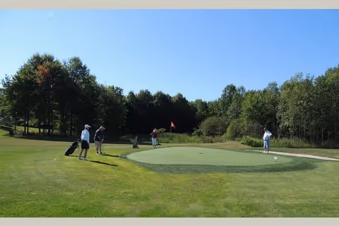 A group of four people playing golf on a green golf course surrounded by trees under a clear blue sky.