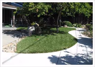 A well-kept front yard with trees, lawn, and a concrete sidewalk beside the building.