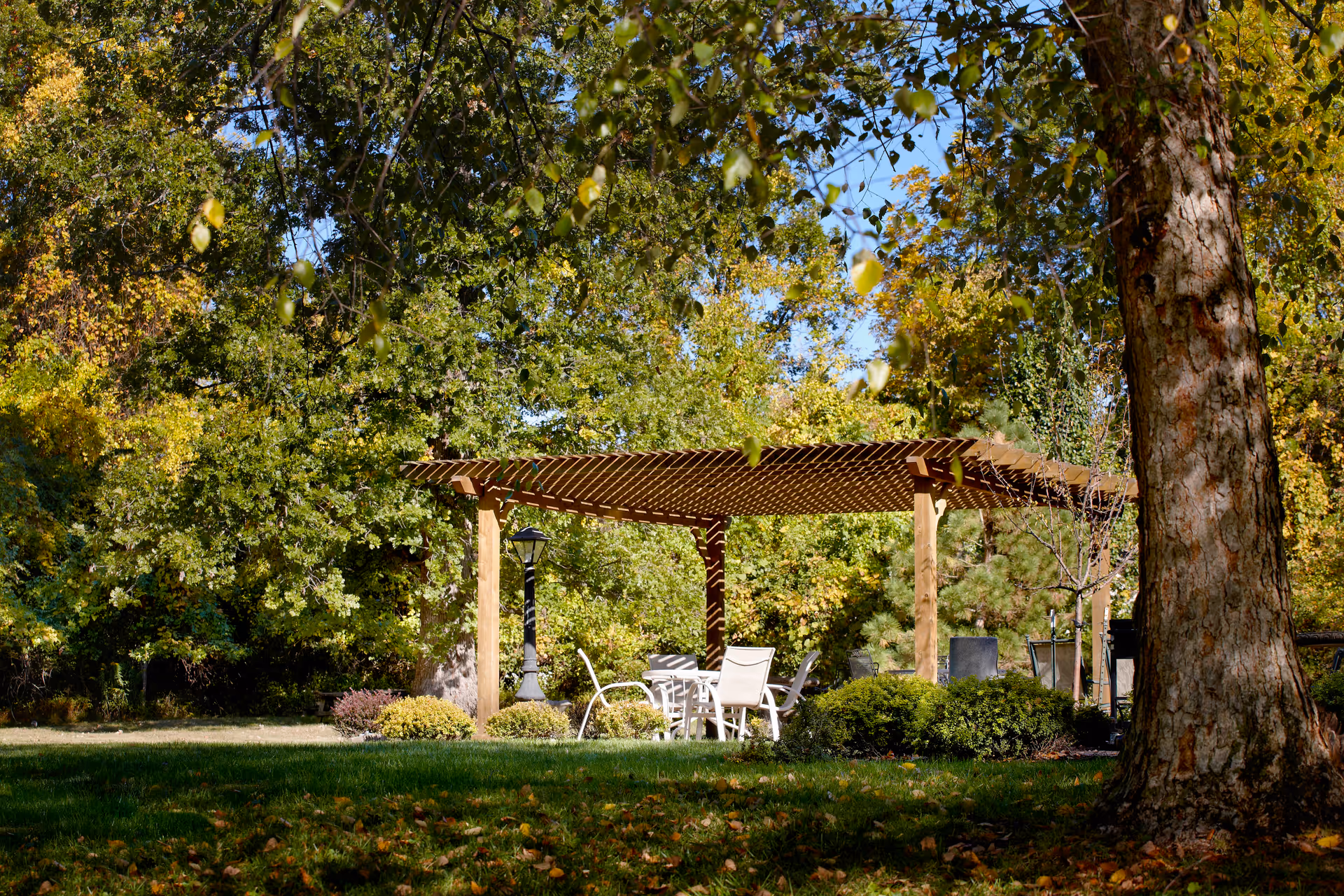 Wooden pergola shading a table and chairs set amid trees and lawn in a leafy outdoor garden.