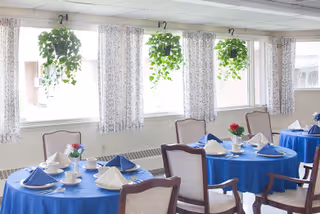 A bright dining room with round tables covered in blue tablecloths, each set with white napkins, cups, and small flower arrangements. There are hanging green plants in front of large windows with patterned curtains, and upholstered chairs around the tables.