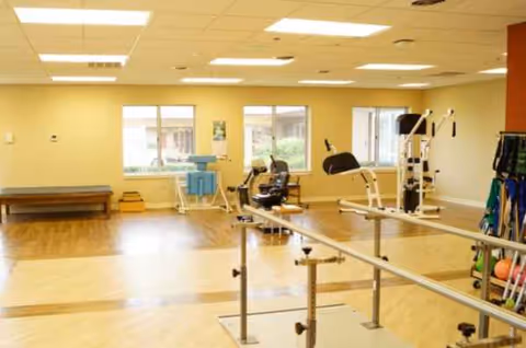 Bright rehabilitation gym with parallel bars, cardio machines, free weights, and large windows.