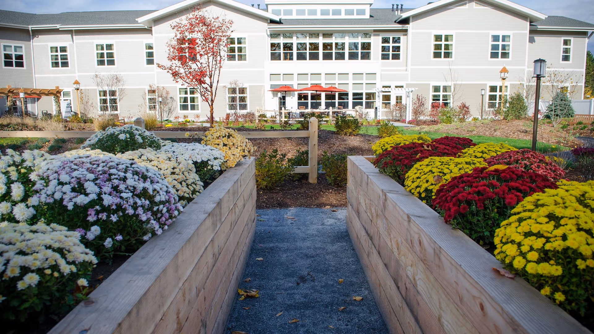 Outdoor garden area with raised wooden flower beds filled with colorful flowers including white, yellow, red, and purple blooms. A pathway runs between the flower beds leading to a large two-story building with many windows and a patio area with red umbrellas.