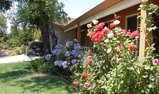 Blooming roses and other flowering plants line a lawn and walkway in front of a single-story building with windows and a covered porch.
