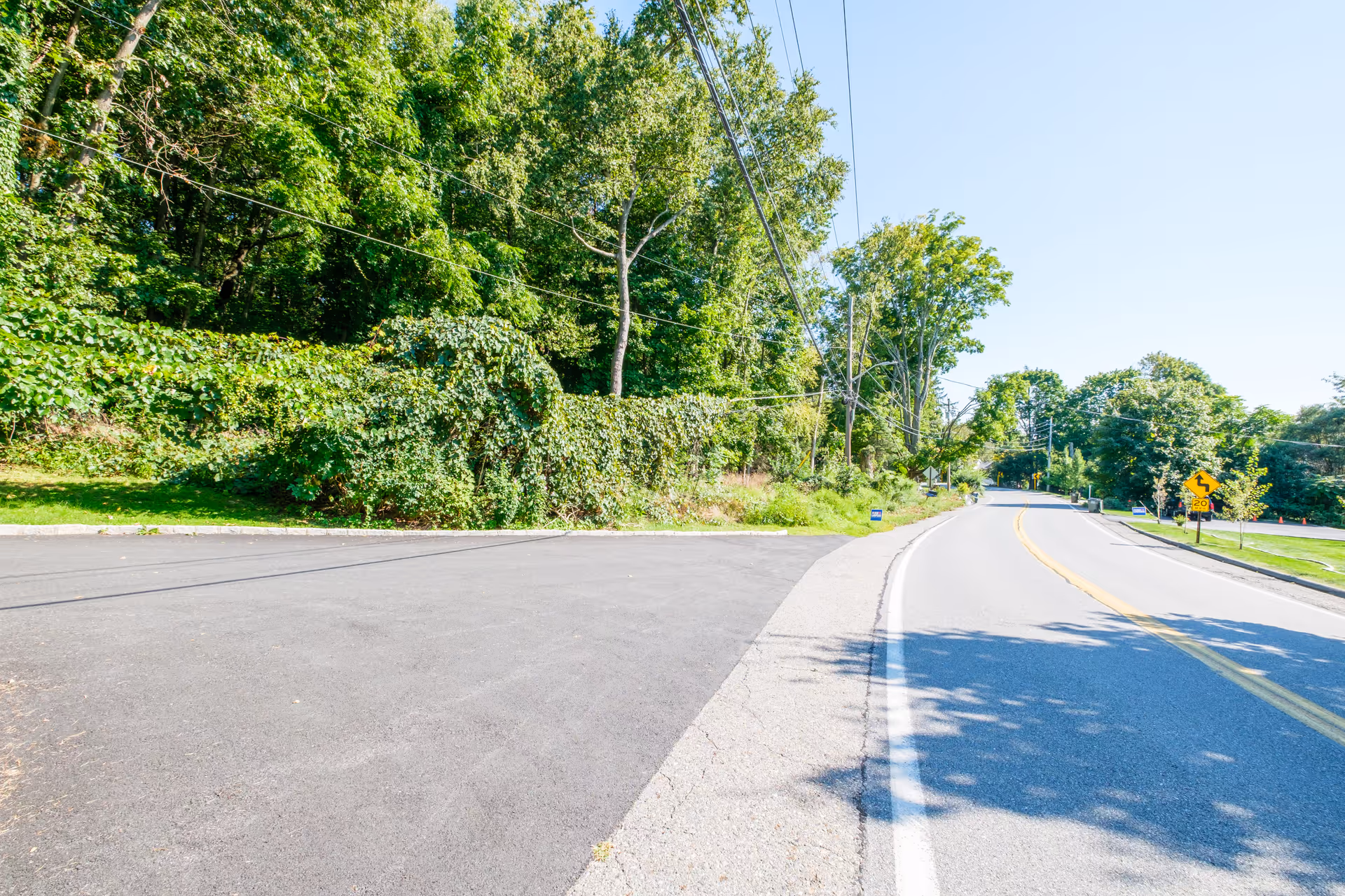 Sunlit country road curving past dense green trees and foliage under a clear blue sky.
