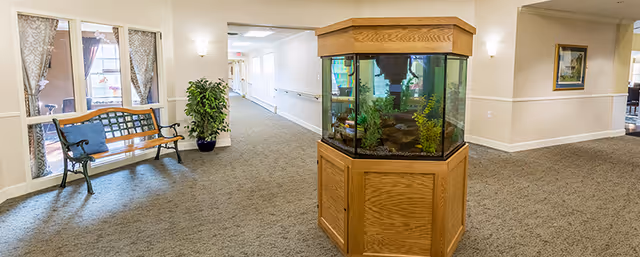 Interior hallway of a senior living facility with beige walls and carpeted floor. A wooden-framed fish tank is centered in the hallway. To the left, there is a wooden bench with a metal frame and a potted plant next to it. The hallway extends into the distance with handrails on the walls and a window with curtains behind the bench.