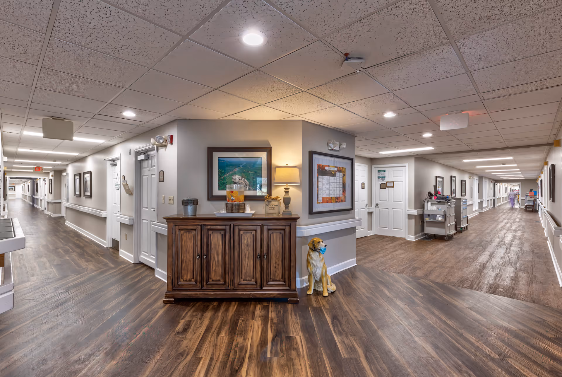 Interior view of a senior living facility hallway with wood flooring and white walls. A wooden cabinet with a lamp, a water dispenser, and a small basket is placed against a corner wall. Above the cabinet, there is a framed picture and a bulletin board. A statue of a dog wearing a face mask is positioned next to the cabinet. The hallway extends in two directions with doors and framed pictures along the walls. Two people in protective clothing are visible in the distance on the right side hallway.