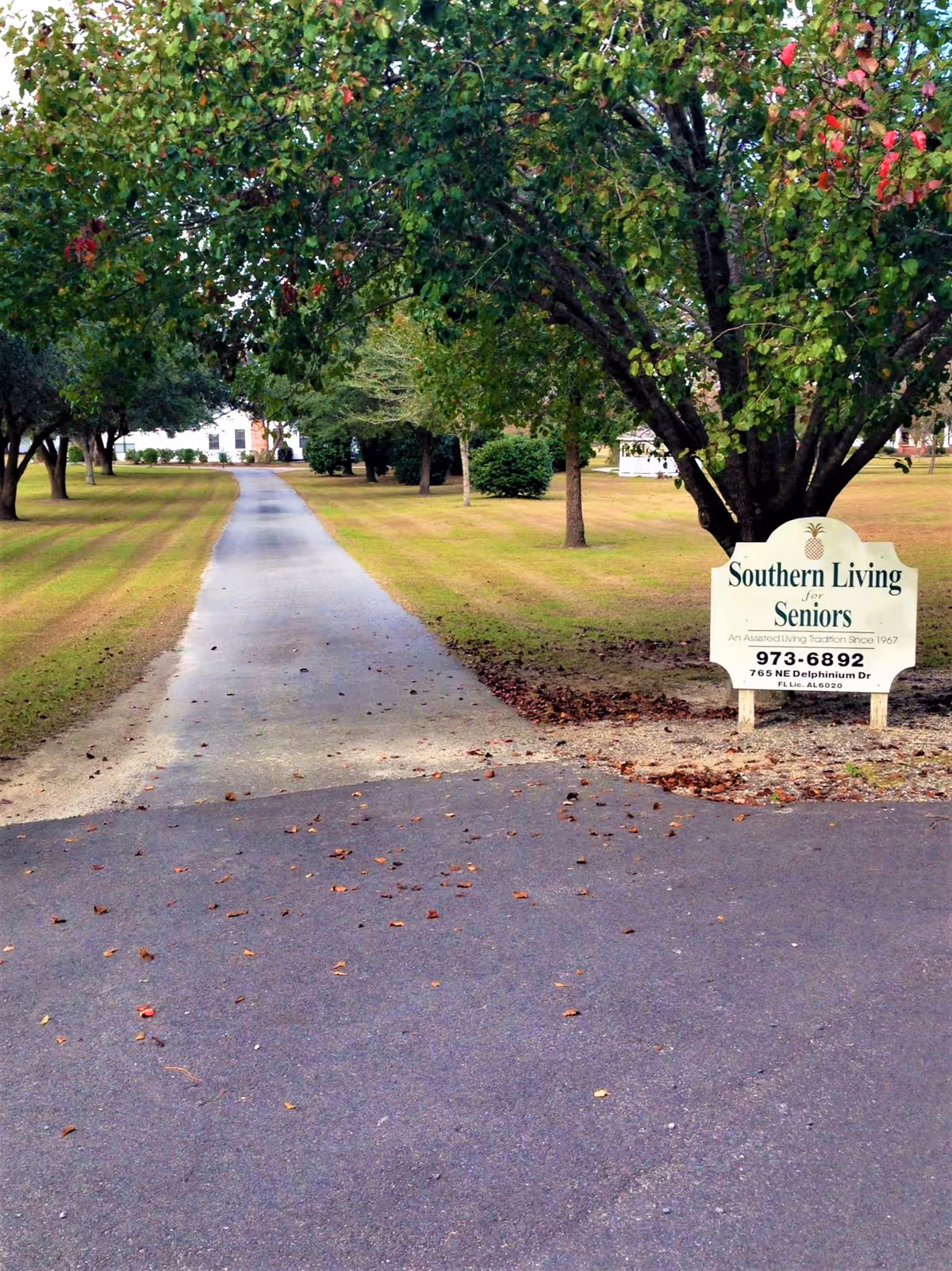 A paved driveway lined with trees on both sides leading to a white building in the distance. On the right side of the driveway, there is a sign that reads 'Southern Living for Seniors' with contact information and address below it. The surrounding area is grassy with some fallen leaves on the driveway.