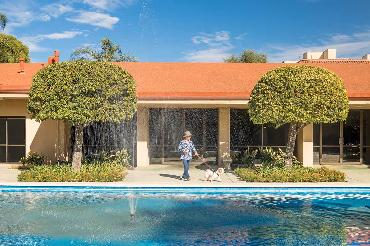 A person wearing a hat and floral shirt walking a small white dog on a leash beside a swimming pool with a water fountain. The background shows a building with a red roof, two neatly trimmed trees, and large windows.