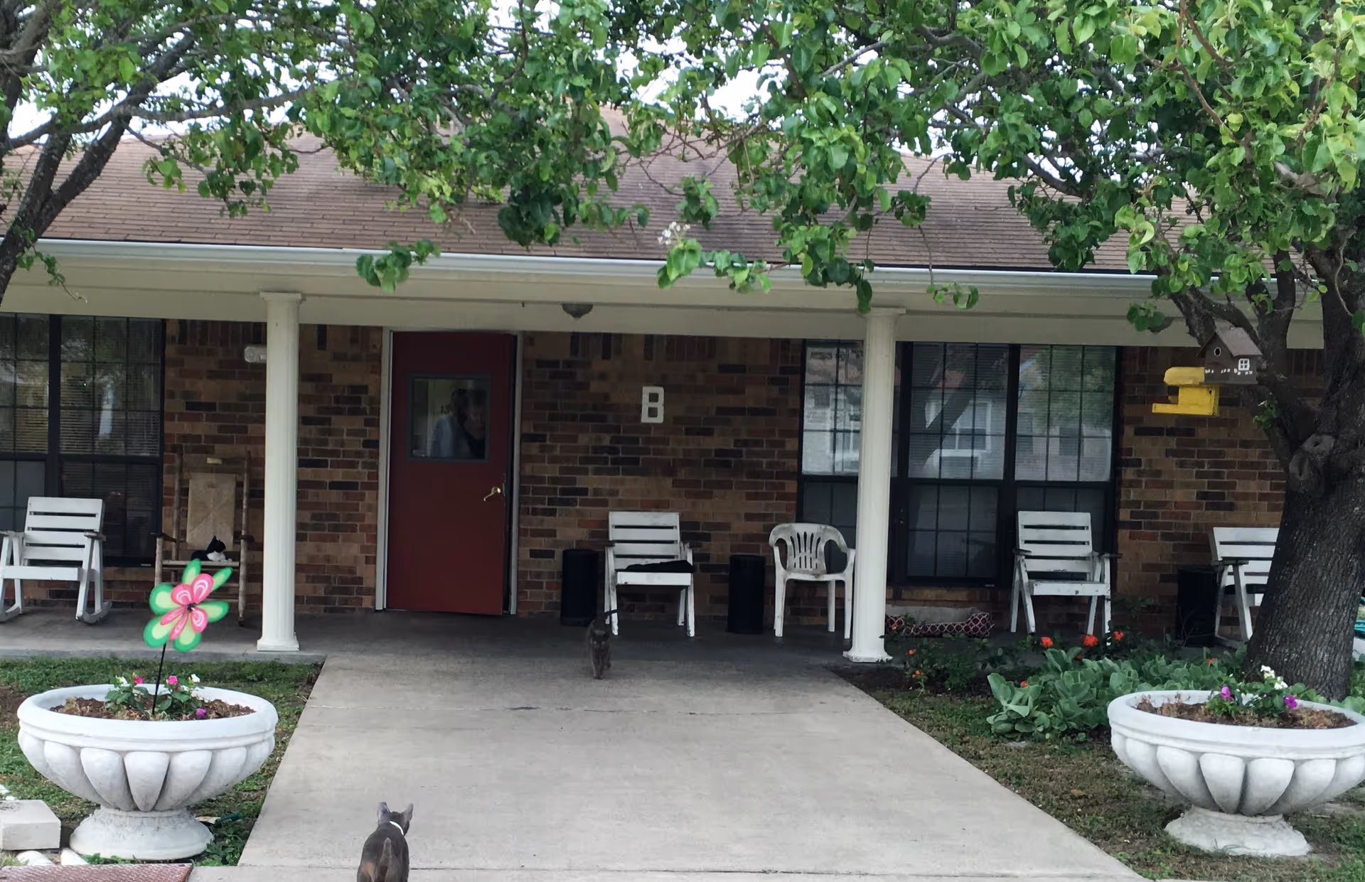 Front porch area of a brick building labeled with the letter B. The porch has white columns, several white and brown chairs, two large white planters with flowers, a colorful pinwheel, and two cats visible on the ground and on a chair. There are green trees partially covering the roof.